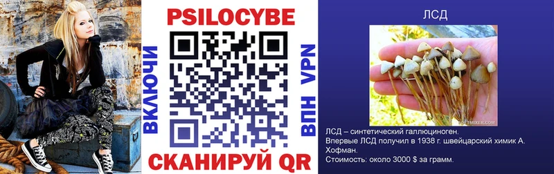 Псилоцибиновые грибы MAGIC MUSHROOMS Любань